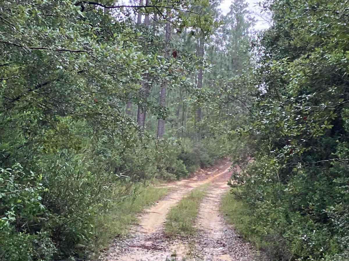R 44 trail photo
