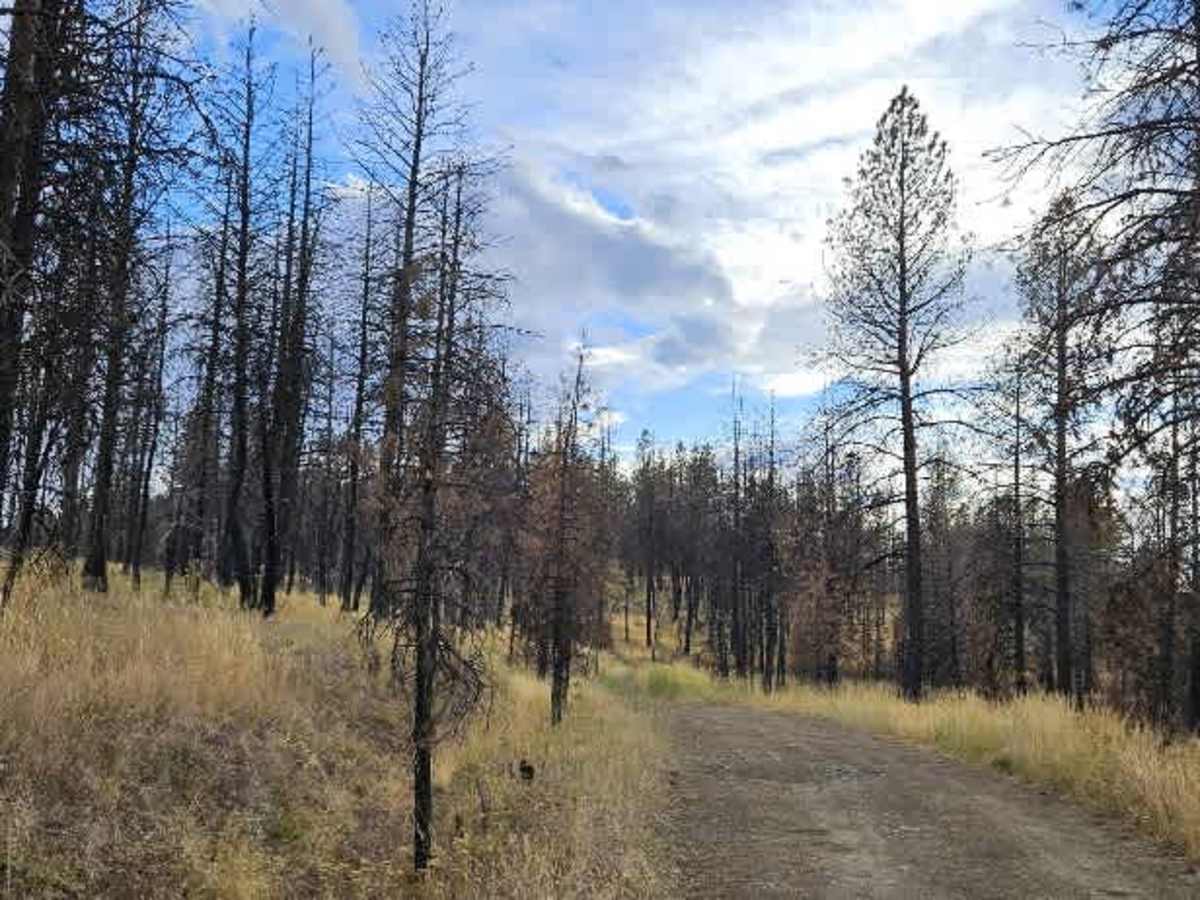 FS 5870700 trail photo