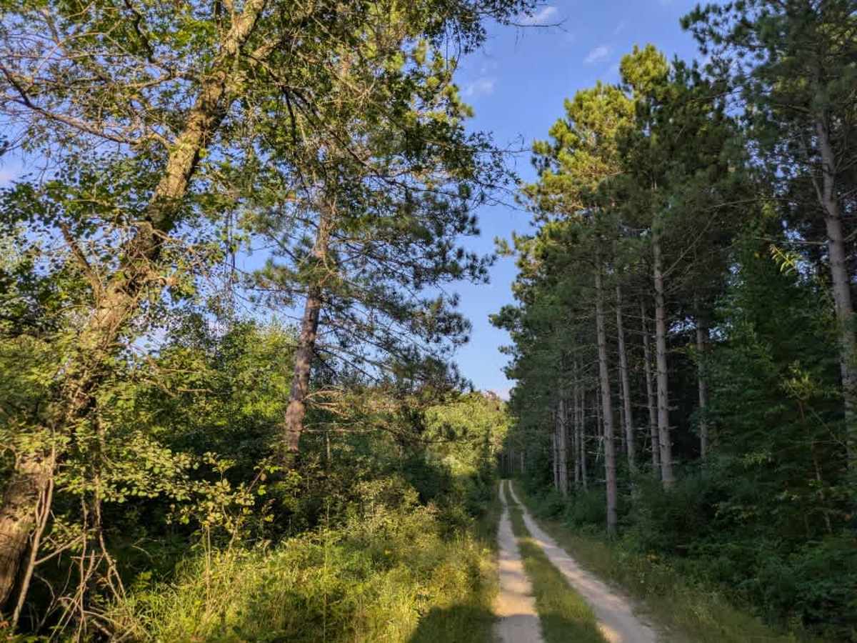 2347 trail photo