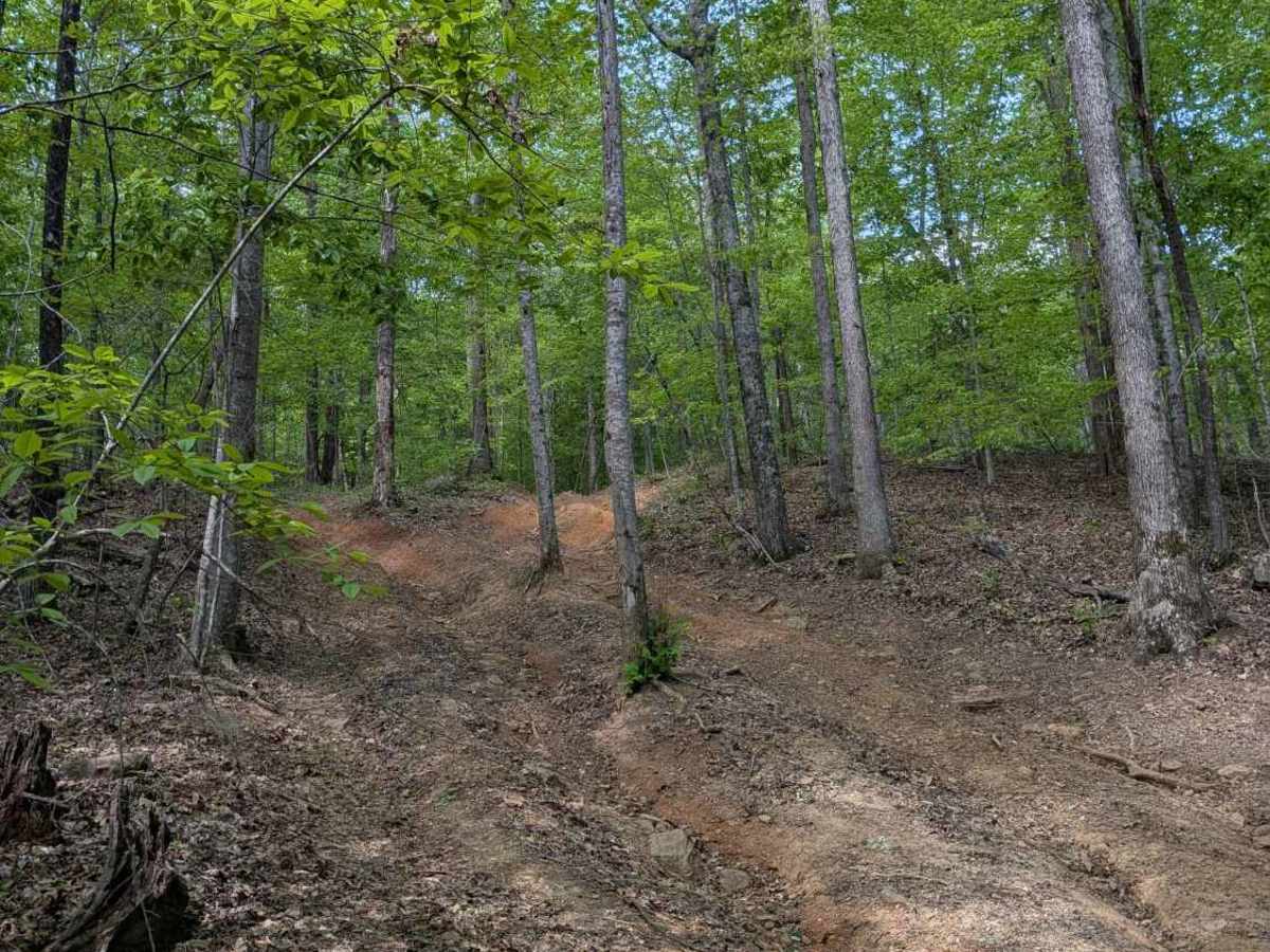Trail 12 photo 6