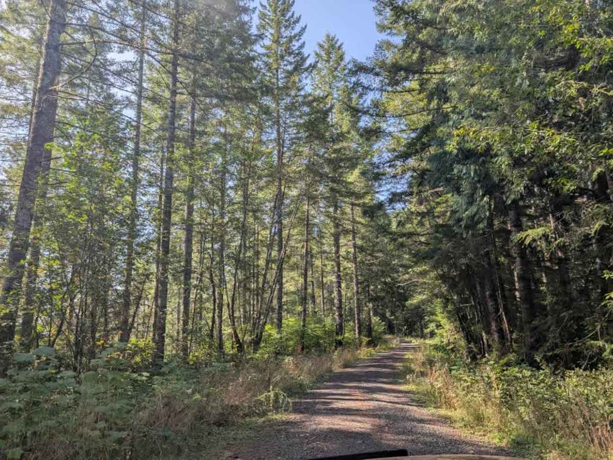 David Ridge Road photo 5
