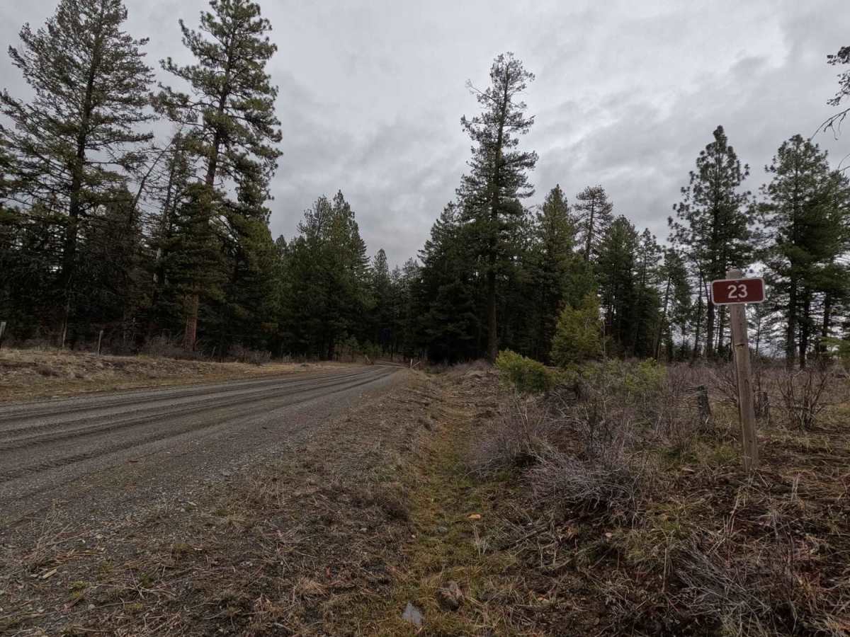 FS 23 West trail photo