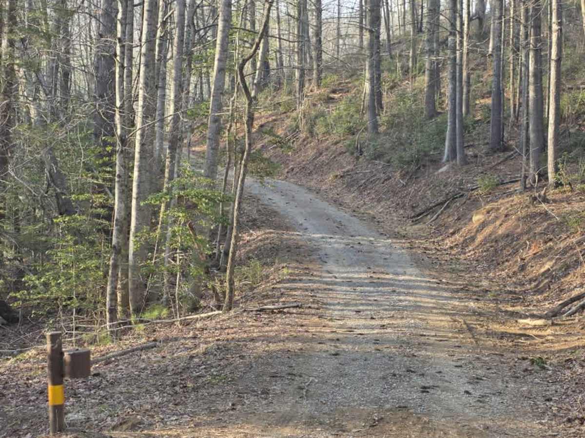 Laurel Mountain / White Rock photo 2