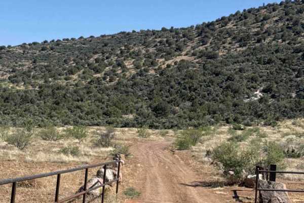 Grief Hill Trailhead - FS 9650C