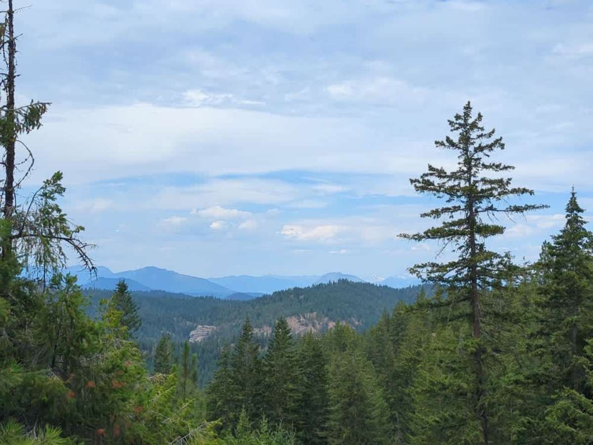 East Van Creek Road trail photo