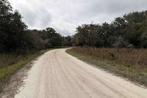 Sailor Hammock Road - Three Lakes WMA