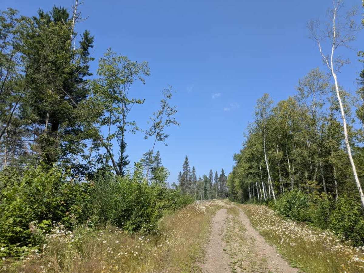 140B trail photo