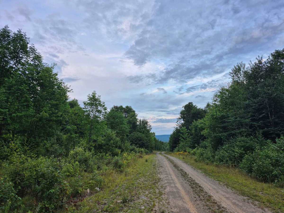 Truck Trail 2 trail photo
