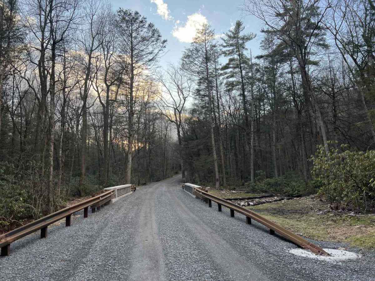 Bear Run Road photo 5