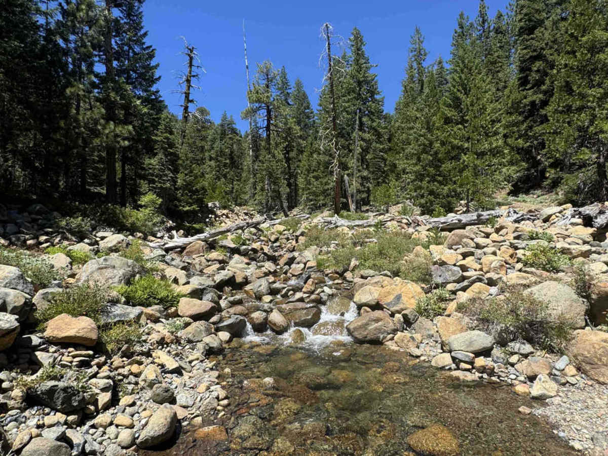 North Fork - FS 41N53 photo 5