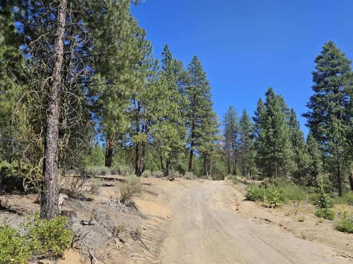 Cave Mountain - FS 5812000 trail photo