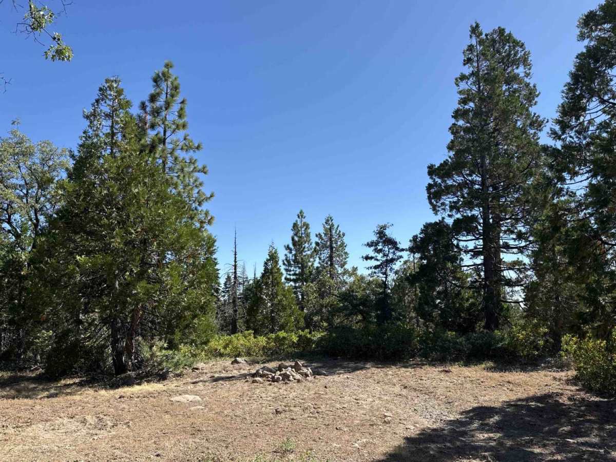 Buck Ranch - FS 6N09 photo 2