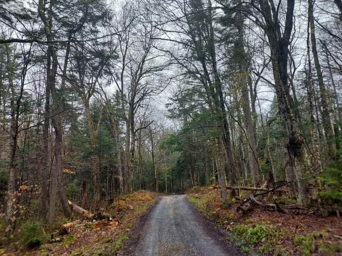Dunville Hollow Road photo 3