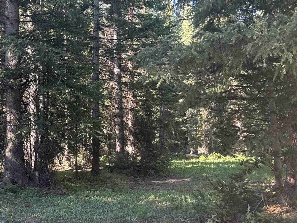 Willows Cabin Road - FS 280 photo 6