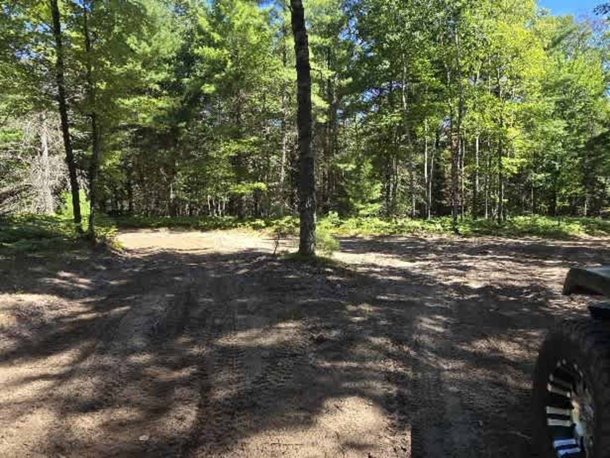 Beaver Dam Road photo 5