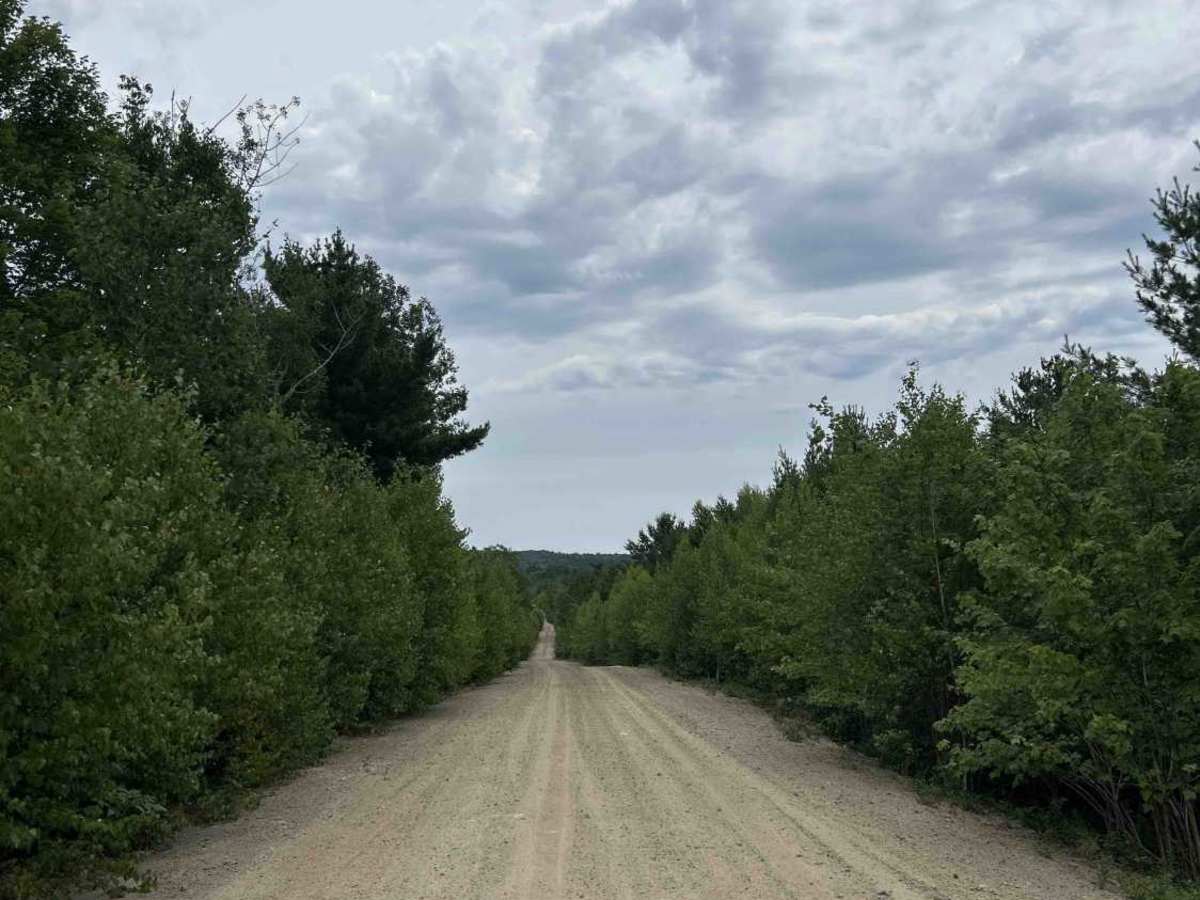 Hog Lot Road photo 6