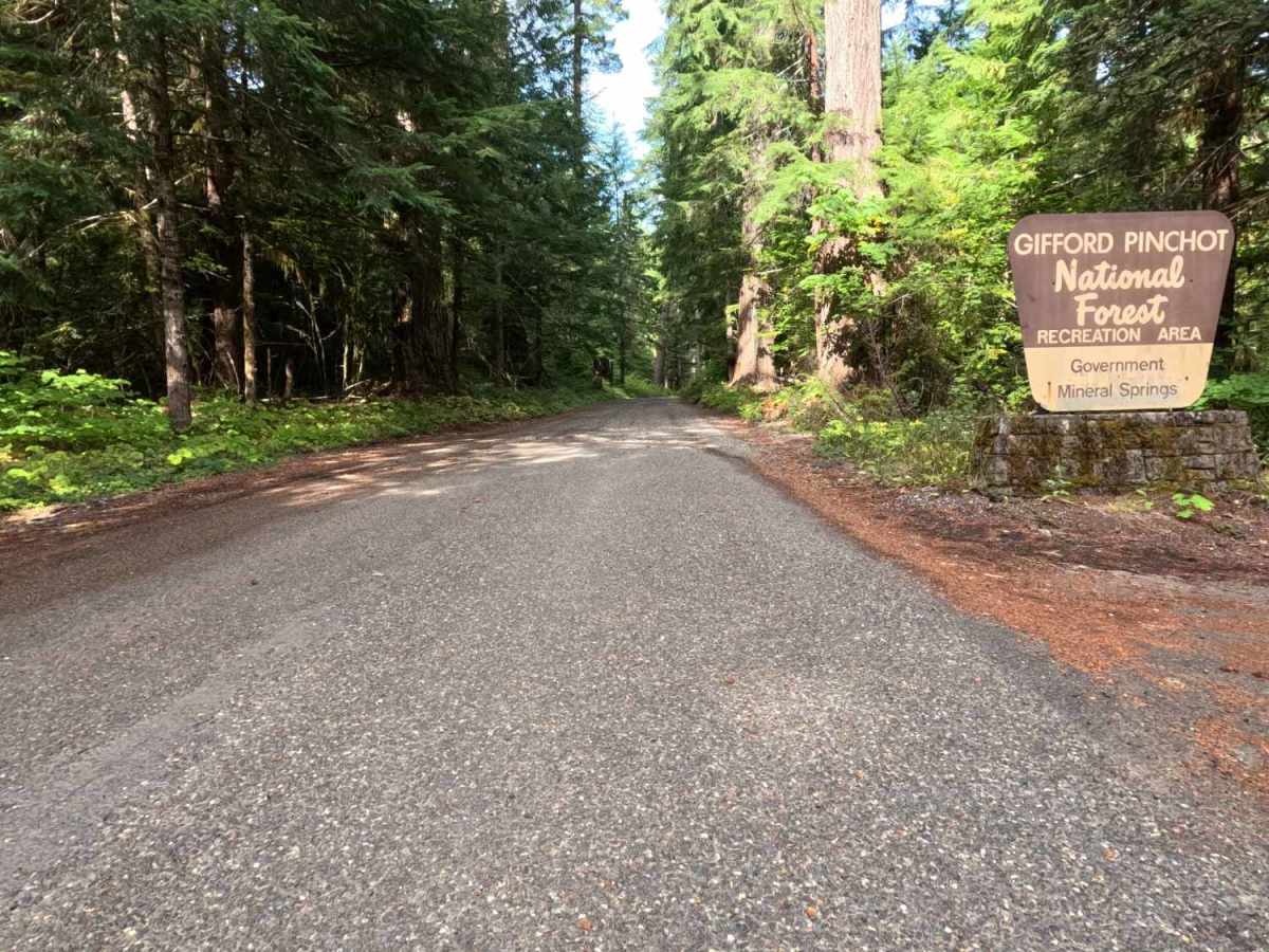 Government Mineral Springs - FS 3065 trail photo