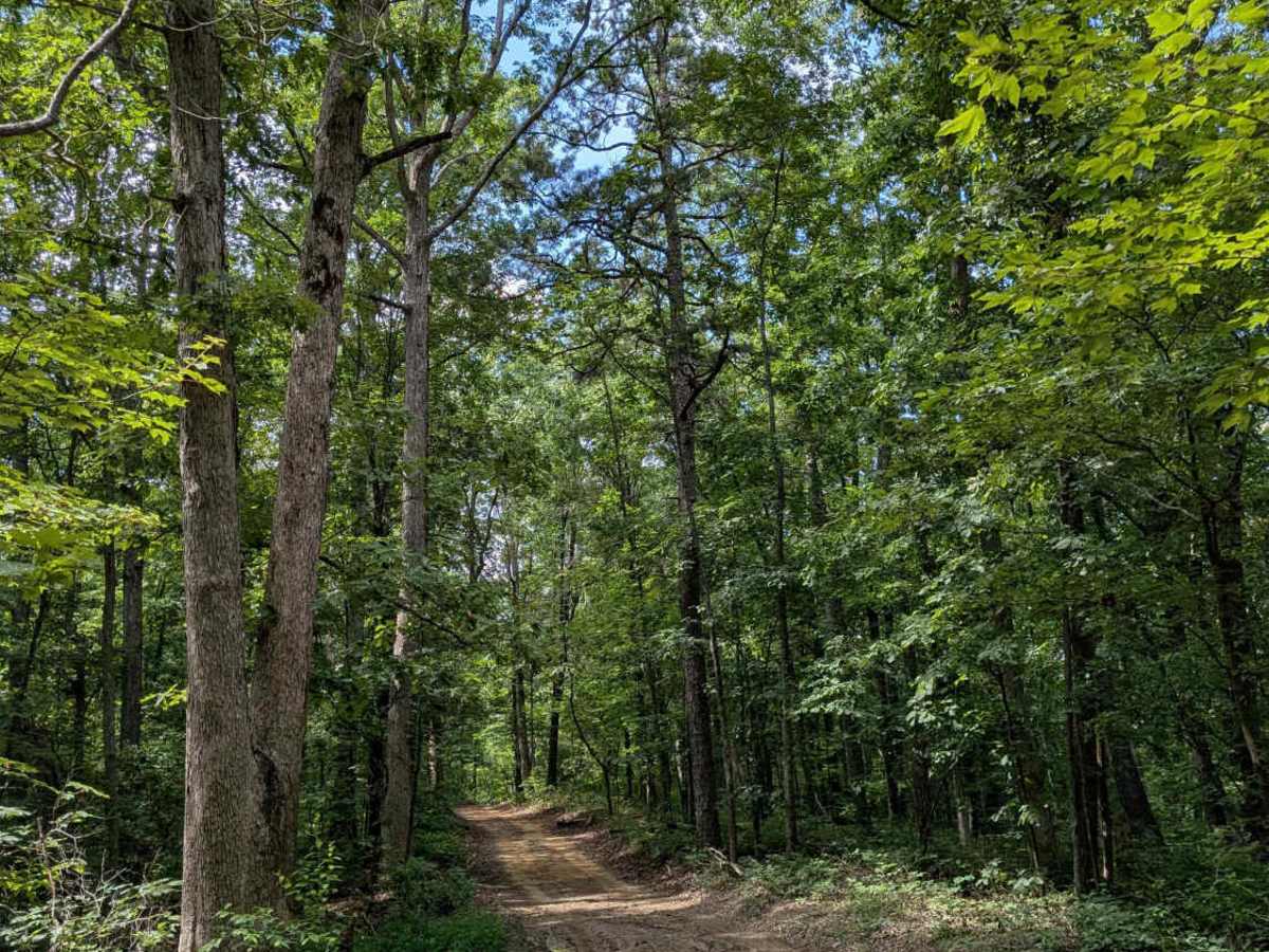 Hicks Gap Road photo 3