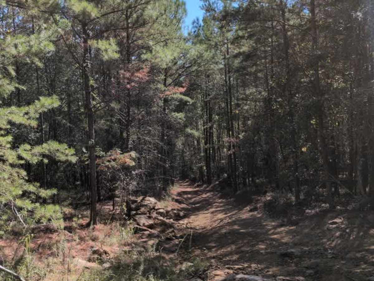 #18 Gate Road photo 4