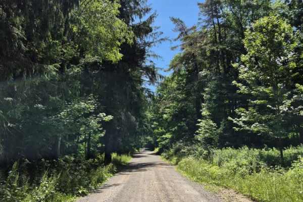 Culpepper Road 