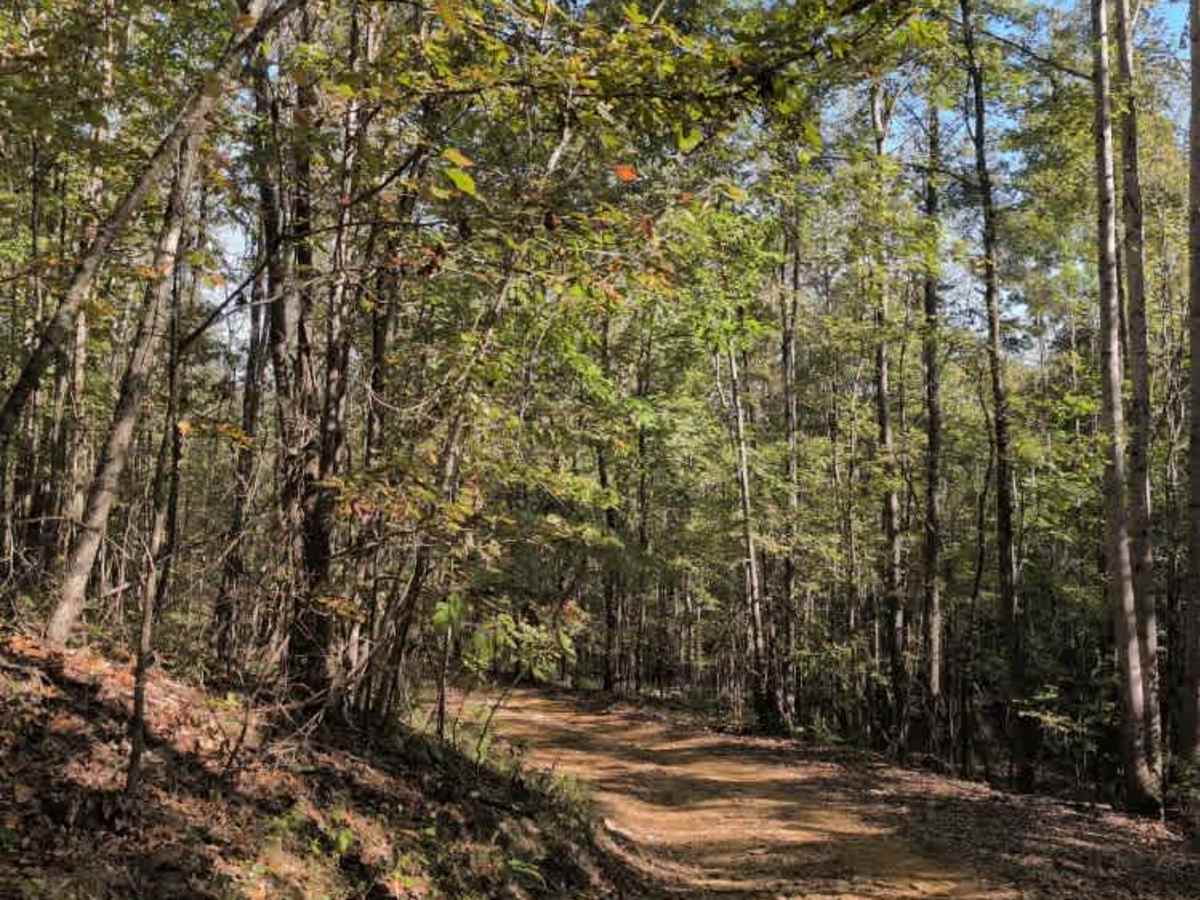 #101 Lower Ridge Line photo 3