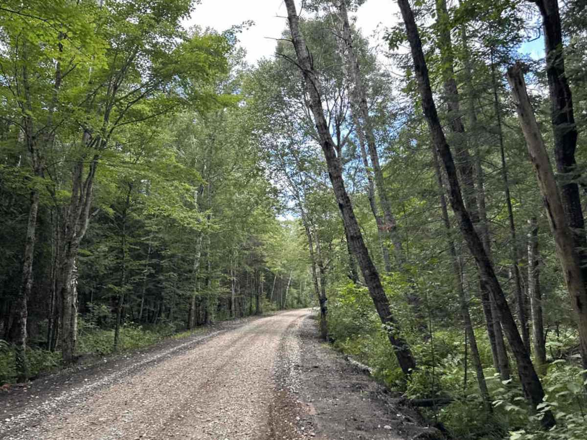 Haywire Grade ORV Trail photo 5