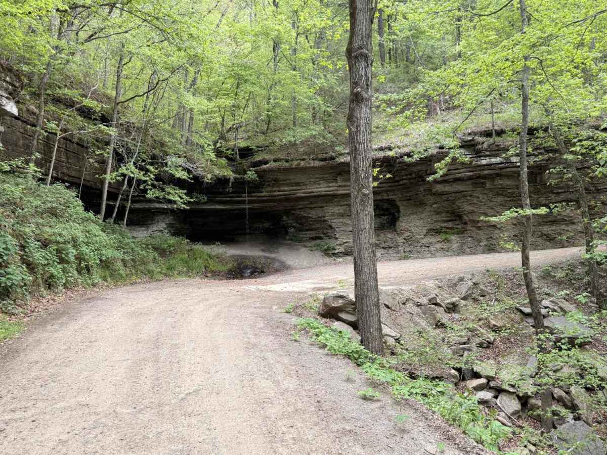 CR 4290 trail photo