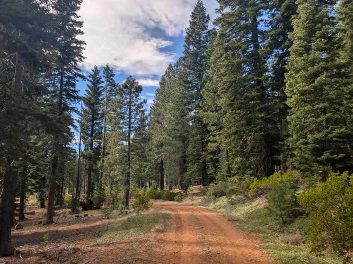 FS 31N34 trail photo