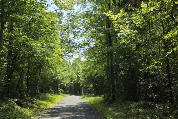 Goose Horn Road - Macon County Tour