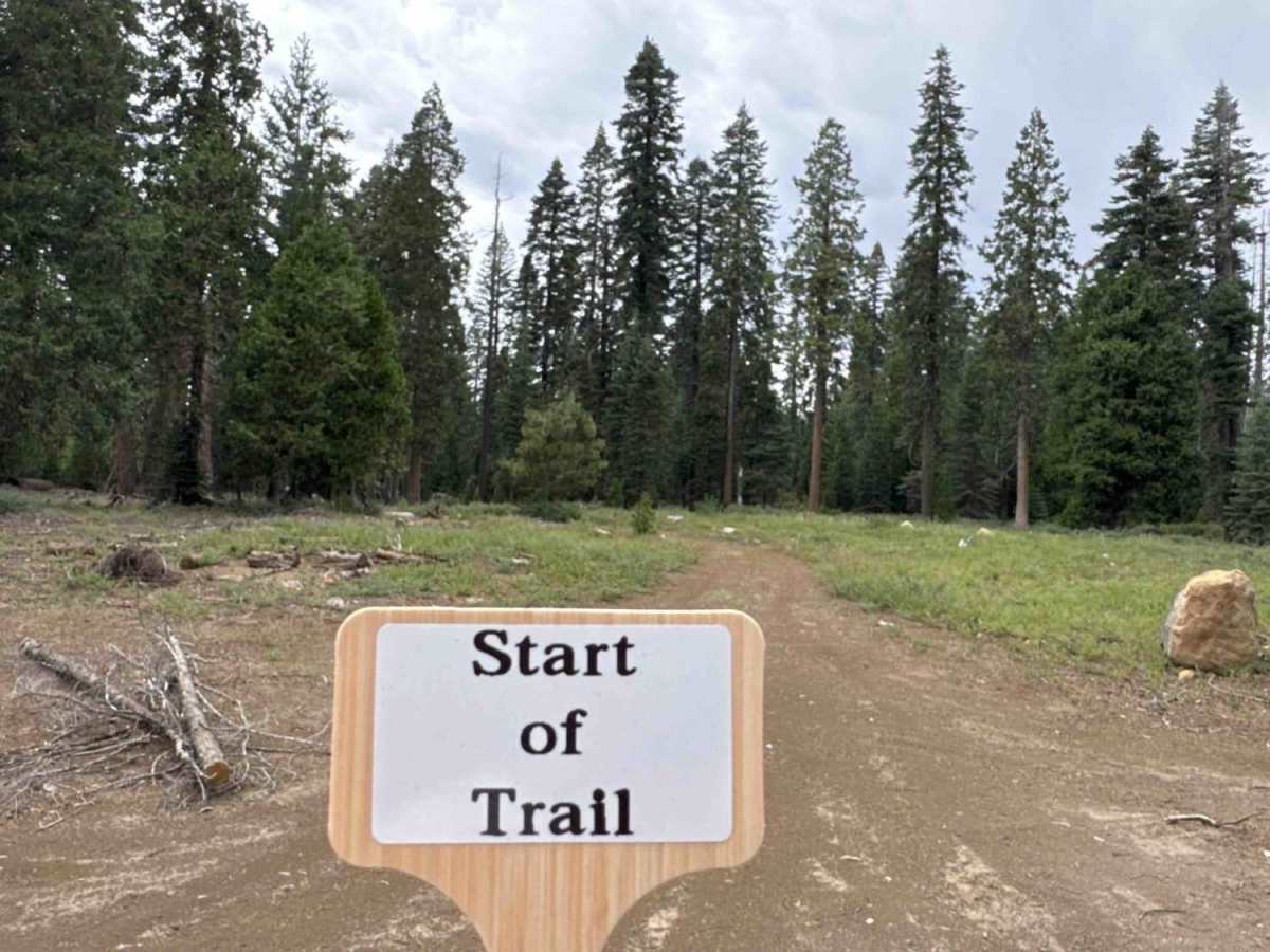 Bear Spring - FS 96-034-02 trail photo