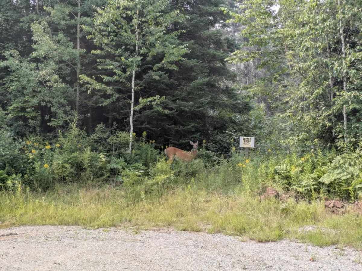 Rivard Road photo 5