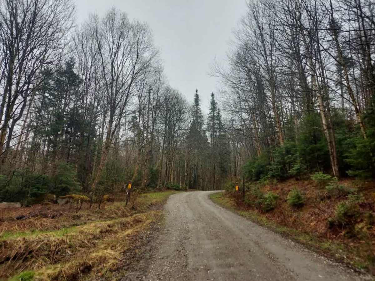 Prospect Mountain Trail photo 2