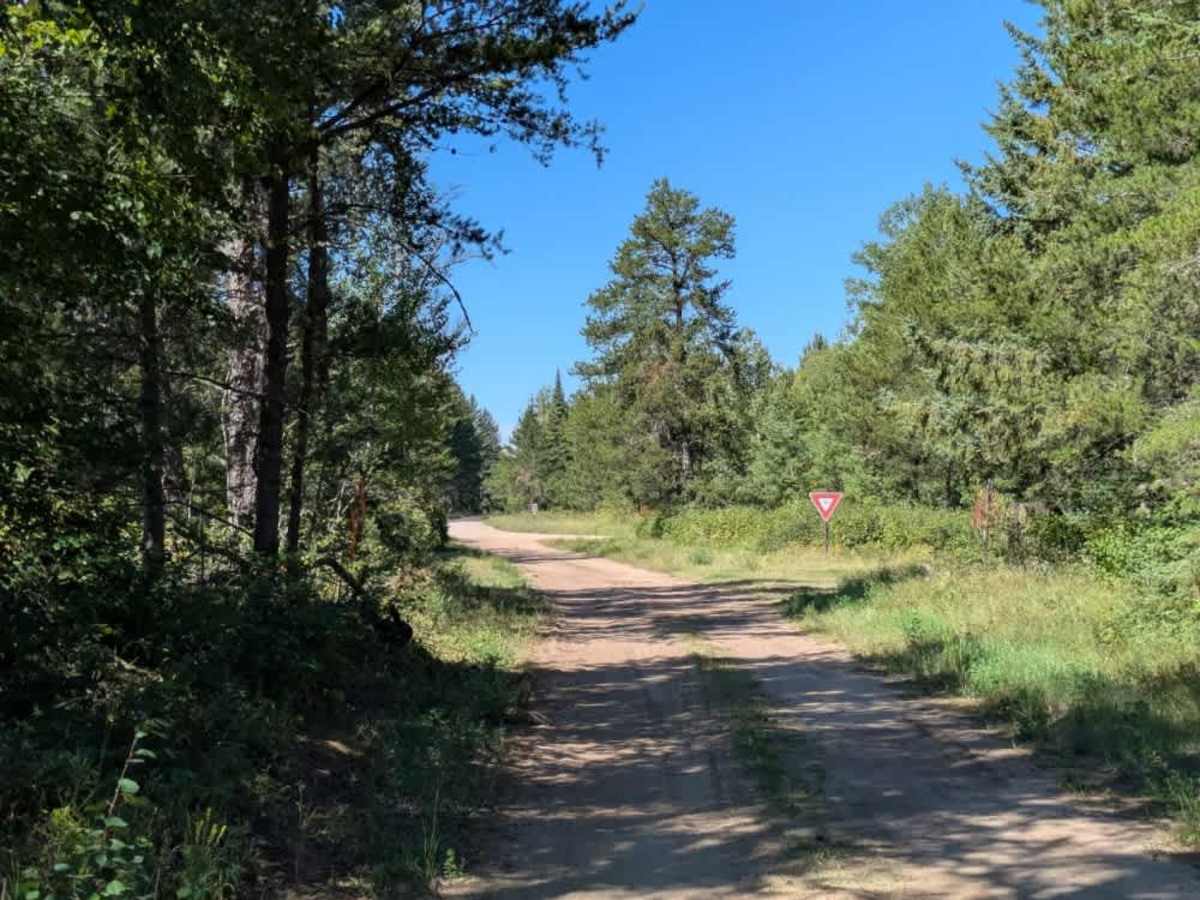 Swartz Forest Road photo 5