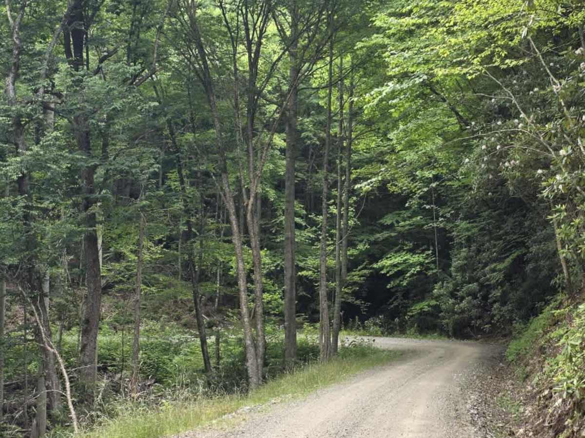 Chestnut Ridge Road photo 2