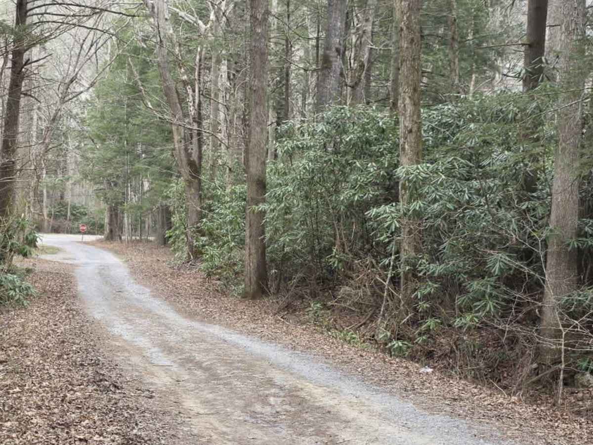 Rocky Branch Road photo 3