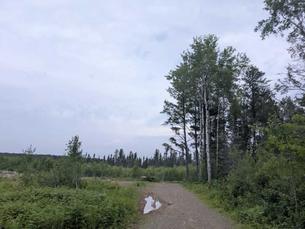 Tomahawk Spur E photo 4