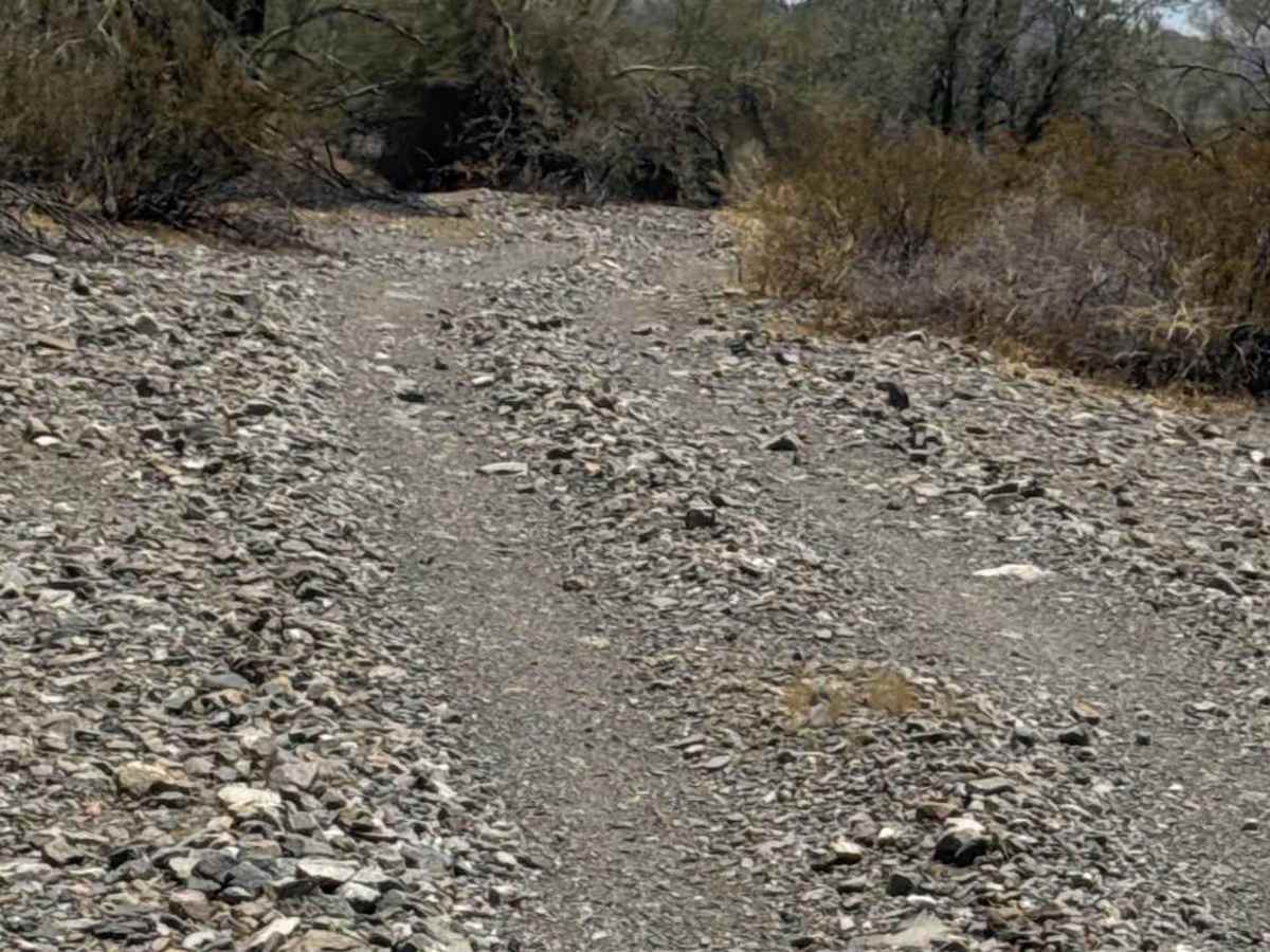 Palo Verde Run  photo 4