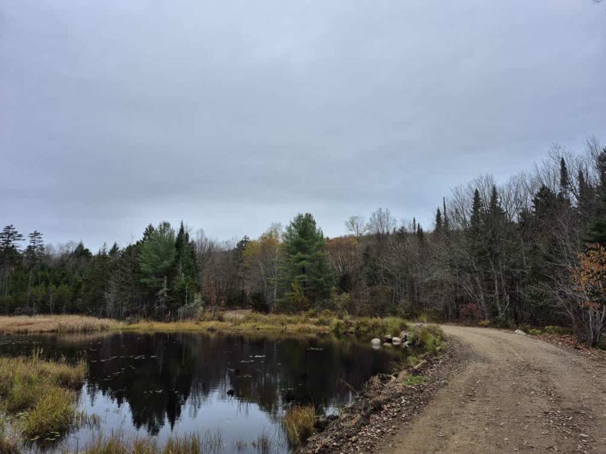 Pines Lake Road photo 4