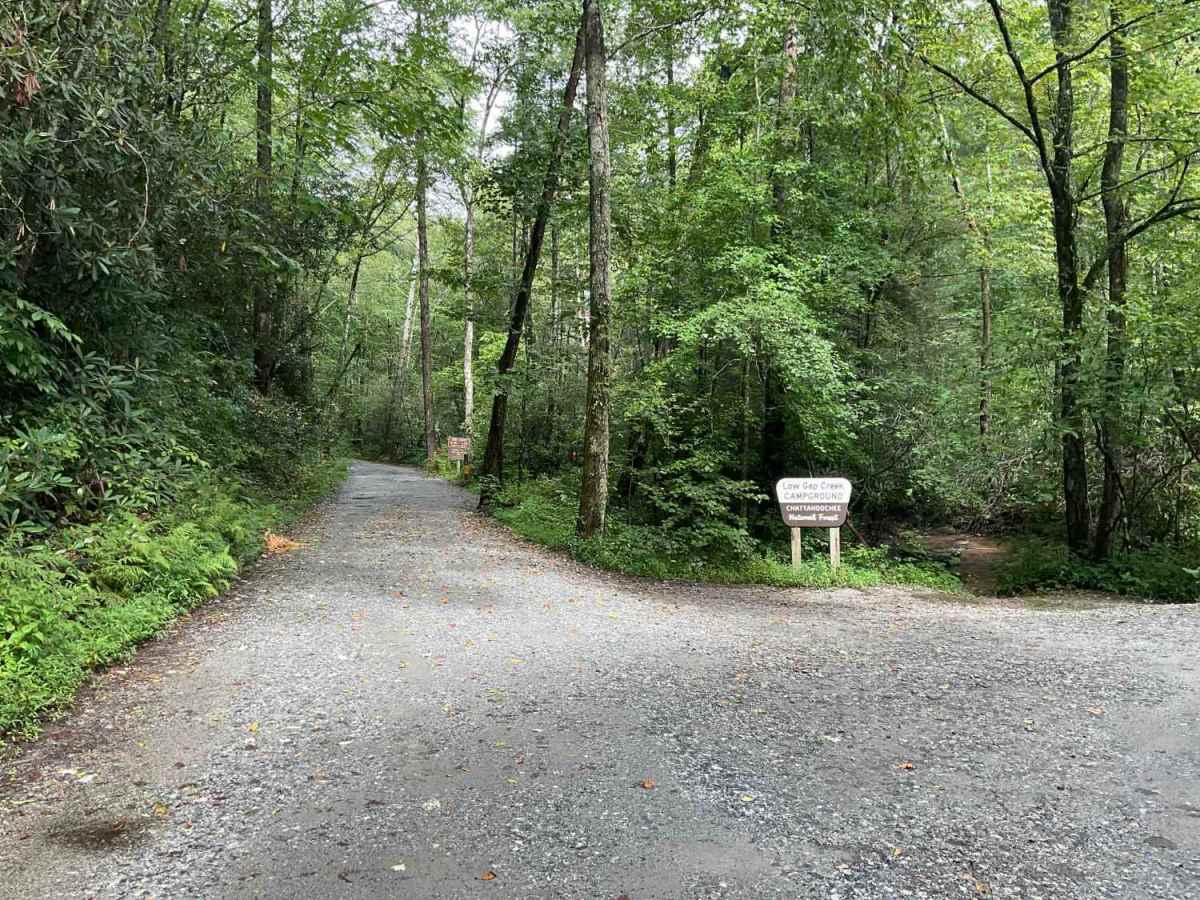 FS-44A Upper Low Gap Creek trail photo
