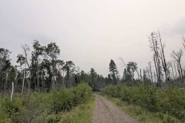 South Stony