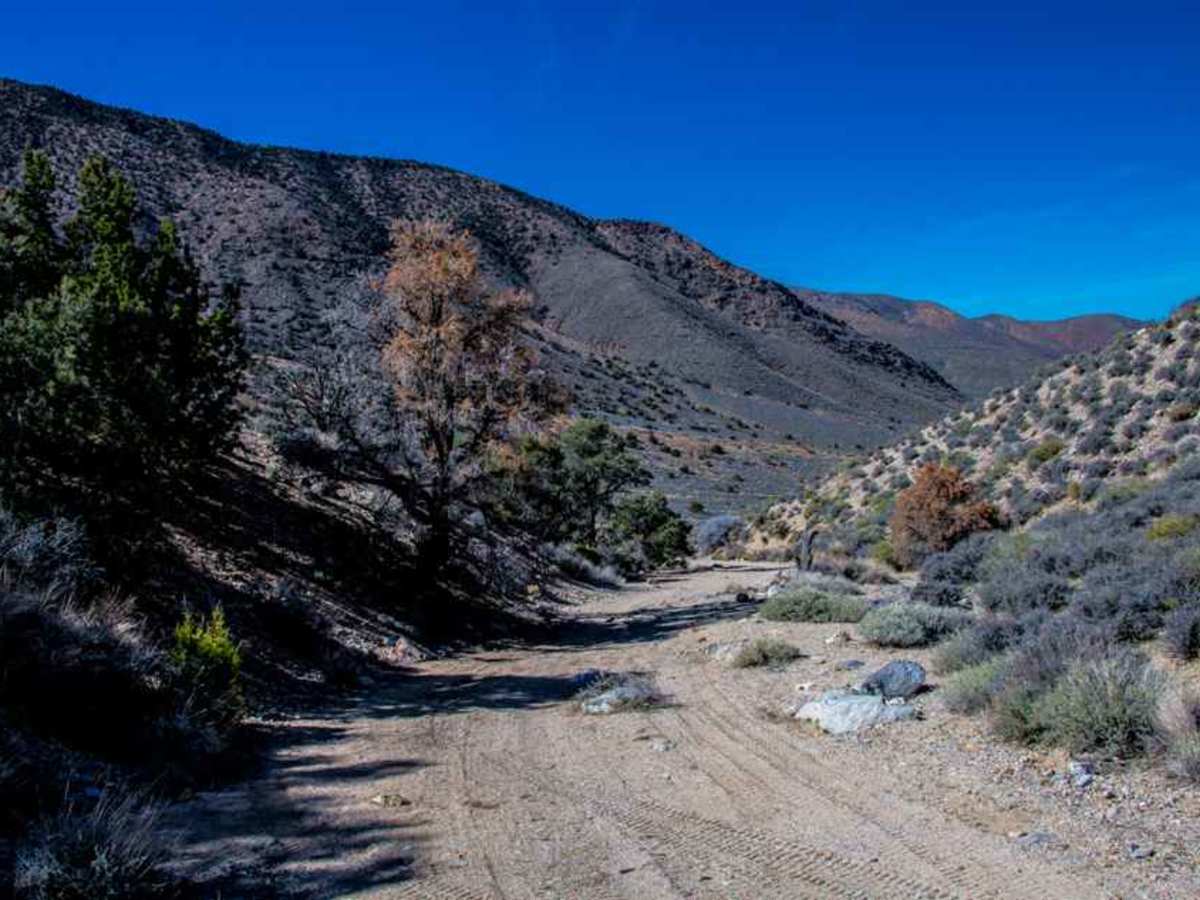Wood Canyon Road photo 4