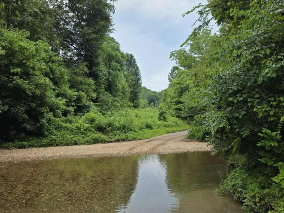 Puncheon Creek Road - Macon County Tour photo 3