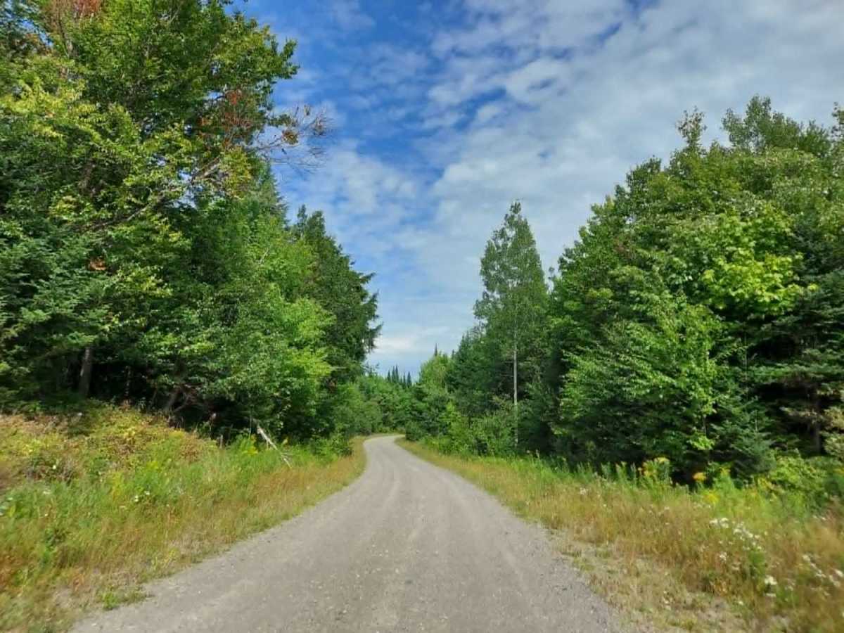 Harvey Siding Road photo 4
