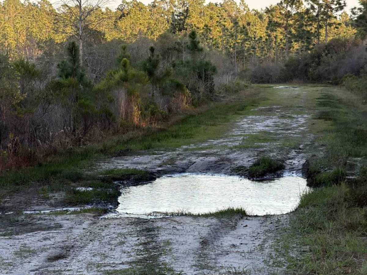 SFR 144 trail photo