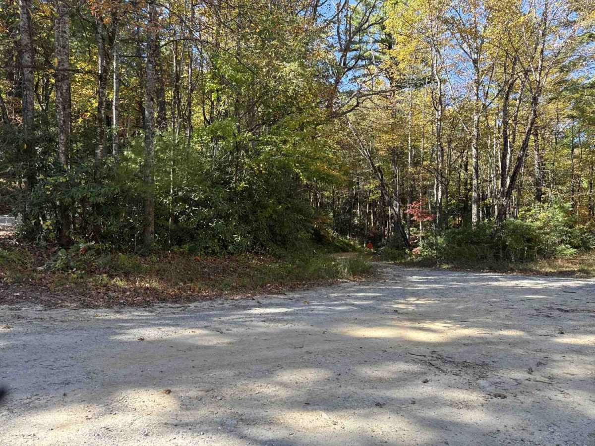 FS 496 trail photo