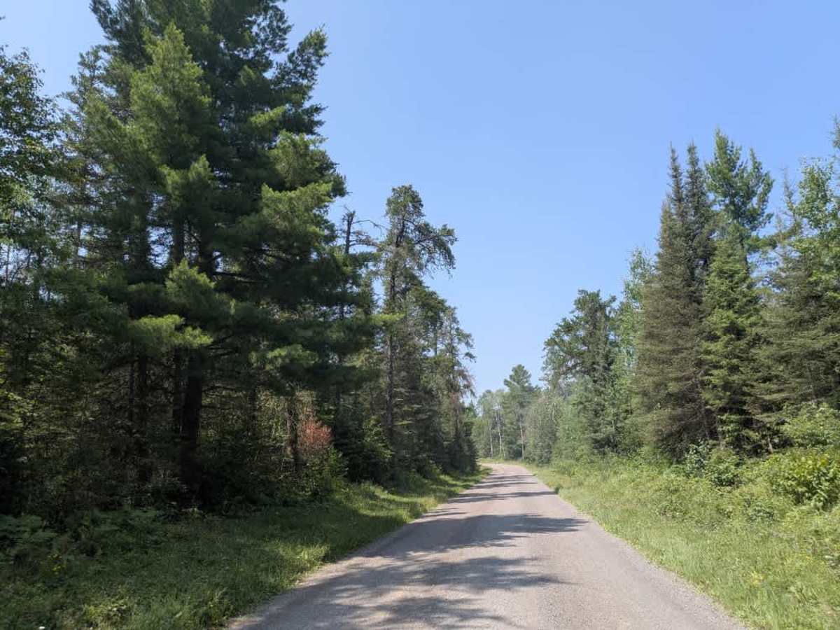 Devil Track Road photo 6
