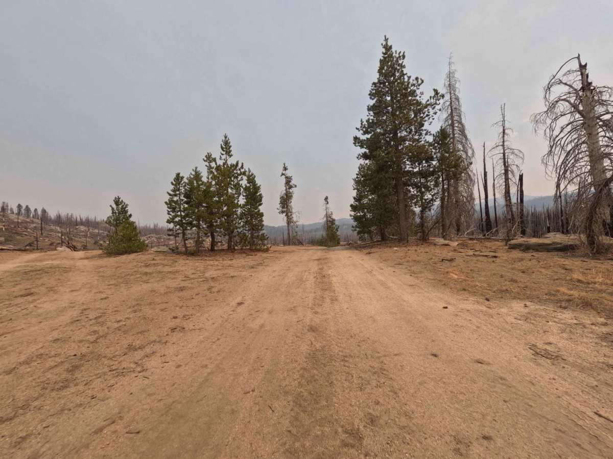 Lower Tamarack - FS 9s026 photo 3