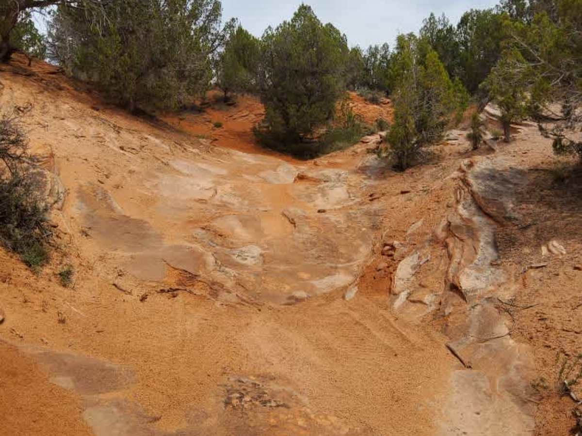 BLM 64T trail photo