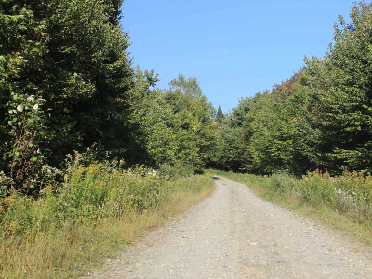 Stub Hill Road photo 4
