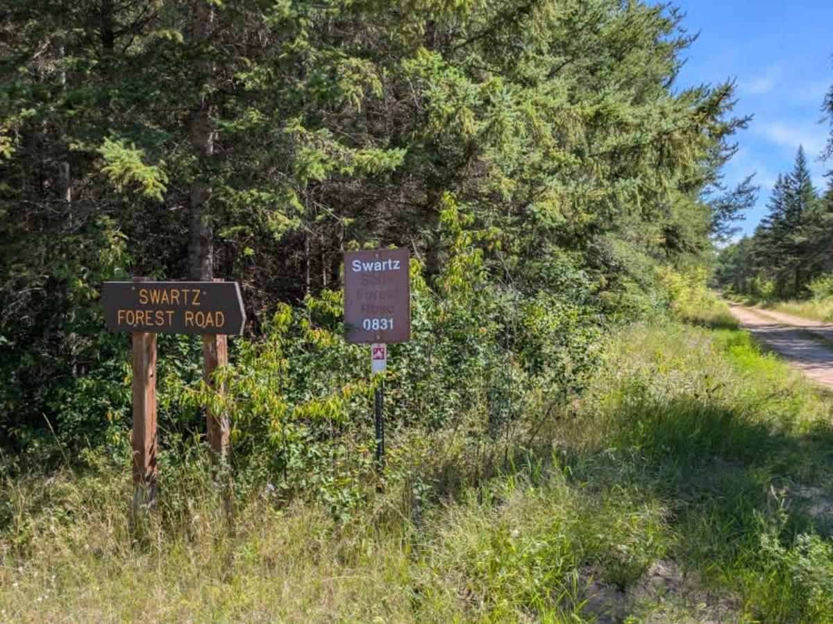 Swartz Forest Road photo 2